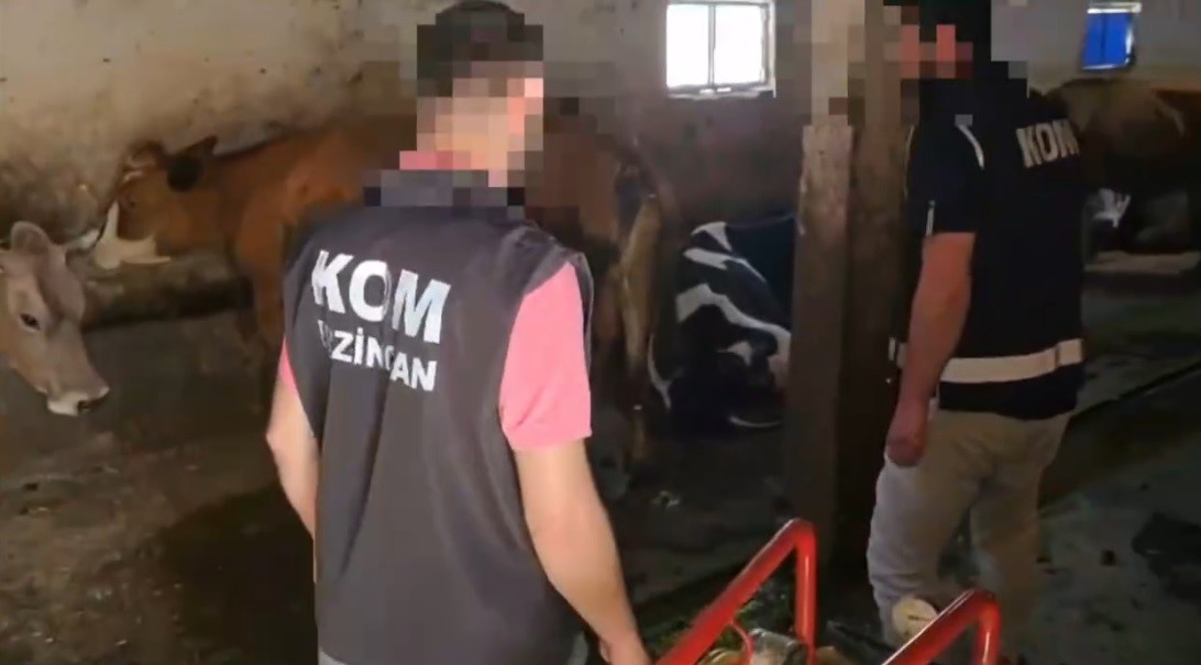 Erzincan merkezli 14 ilde kurban dolandırıcılarına operasyon
