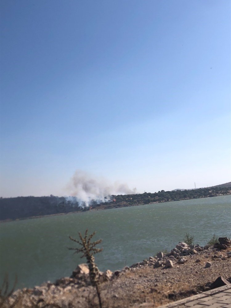 Aliağa&rsquo;da makilik ve otluk alanda &ccedil;ıkan yangın s&ouml;nd&uuml;r&uuml;ld&uuml;
