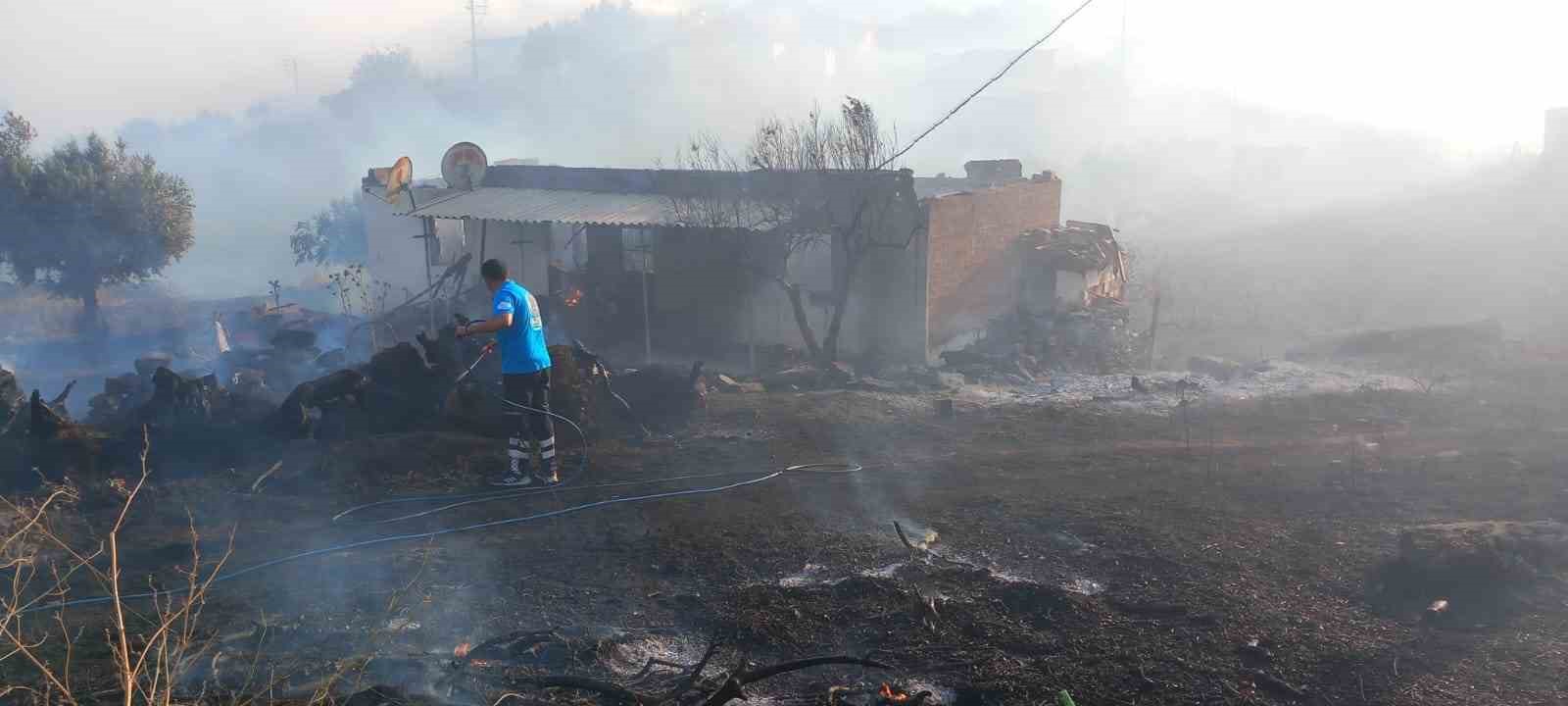 Manisa’daki yangına müdahale sürüyor: 300 hektar alan ile evler zarar gördü
