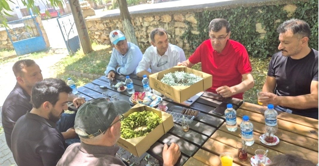 Başkan Kahveci, Hisarcık&rsquo;ta tıbbi ve aromatik bitkileri inceledi
