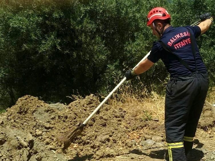 Erdek&rsquo;te &ccedil;ukura d&uuml;şen yavru domuzun imdadına itfaiye yetişti
