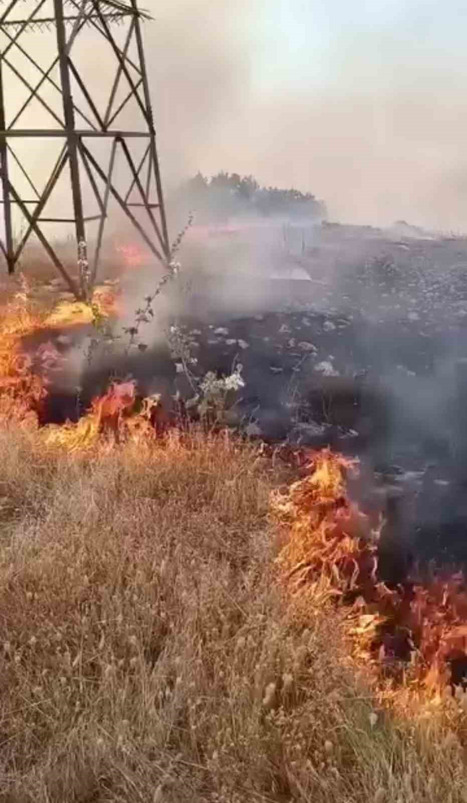 Şırnak’taki anız yangınına müdahale ediliyor