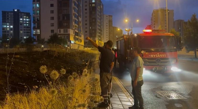 Diyarbakır&rsquo;da şehir i&ccedil;inde anız yangını
