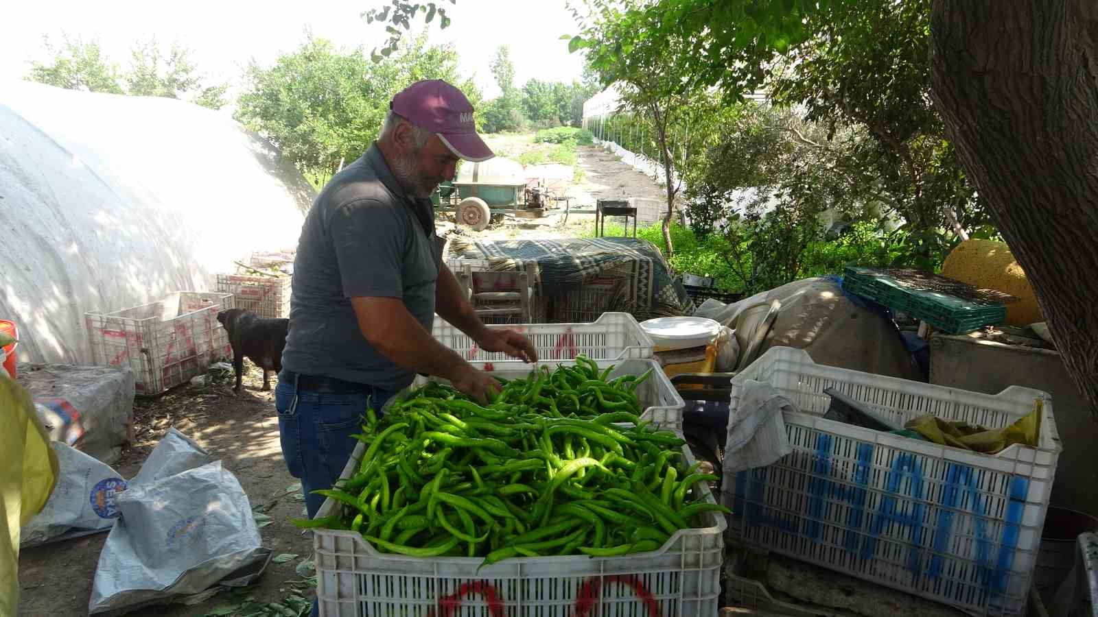 Serada çalışan işçiler sıcakta bunalıyor
