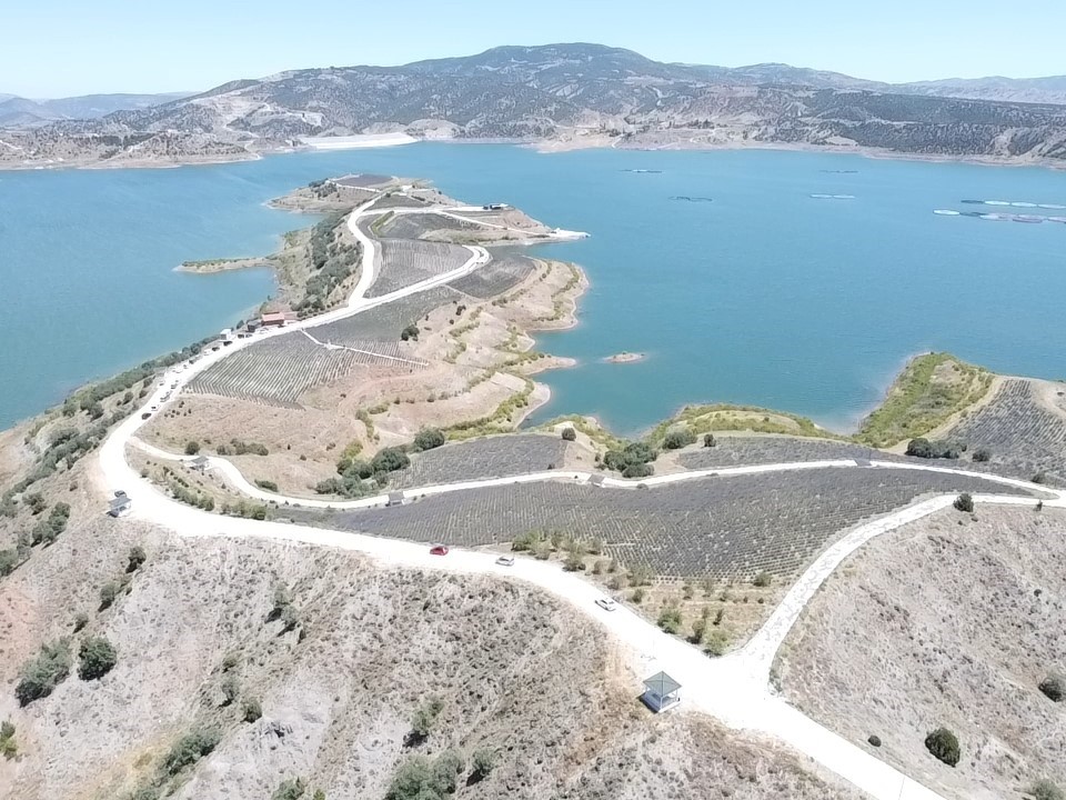 Lavanta adası kapılarını açtı, bozkır adeta mora boyandı
