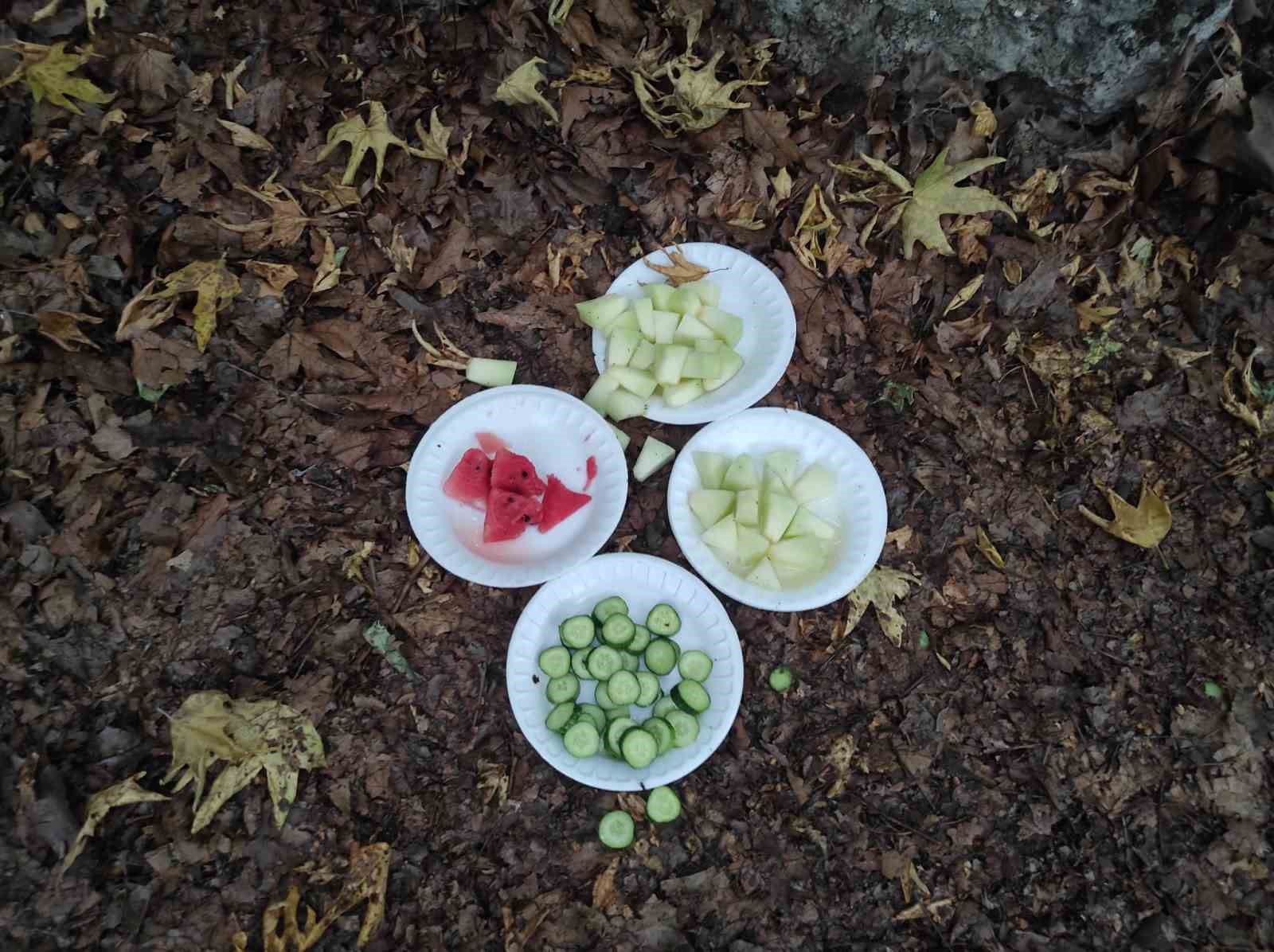 Piknikçiler yiyip içip, geride çöp yığınları bırakıp gitti
