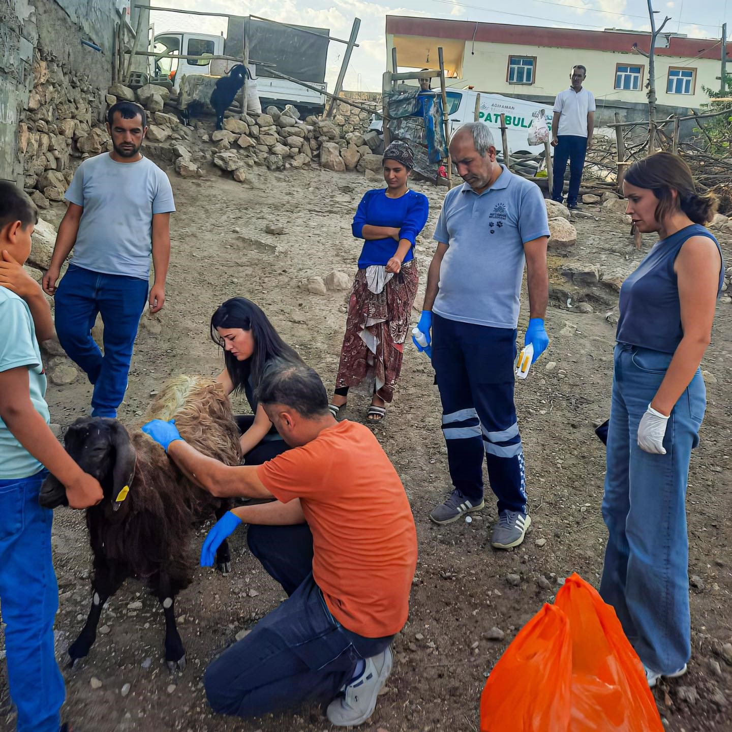 Belediyeden Mardin ve Diyarbakır’a veteriner ve itfaiye desteği