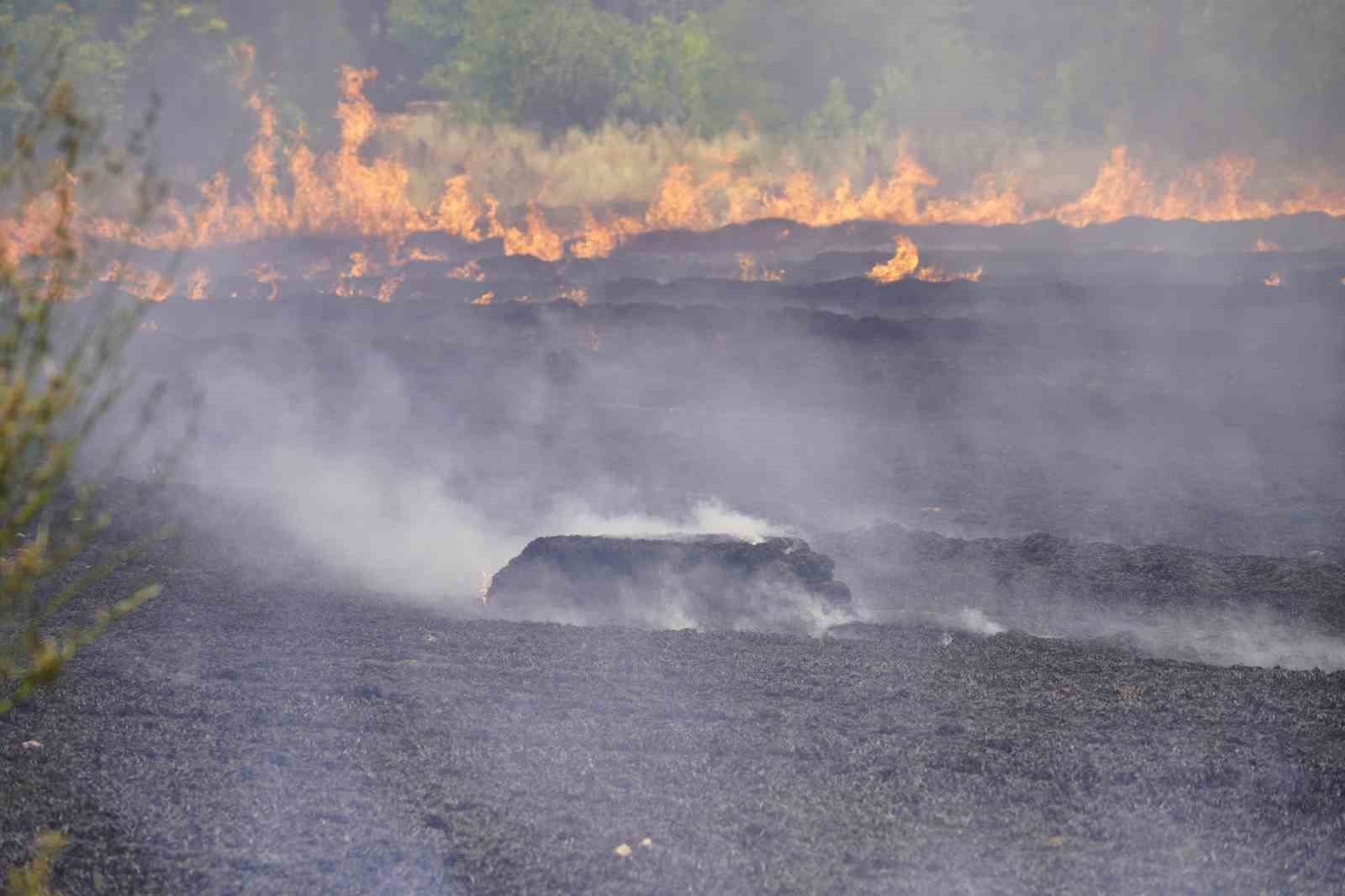Edirne&rsquo;de tarlada &ccedil;ıkan yangın korkuttu

