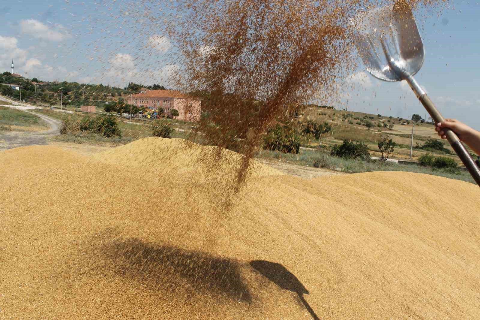 Manyas&rsquo;ta hububat hasadında verim d&uuml;ş&uuml;kl&uuml;ğ&uuml; yaşanıyor
