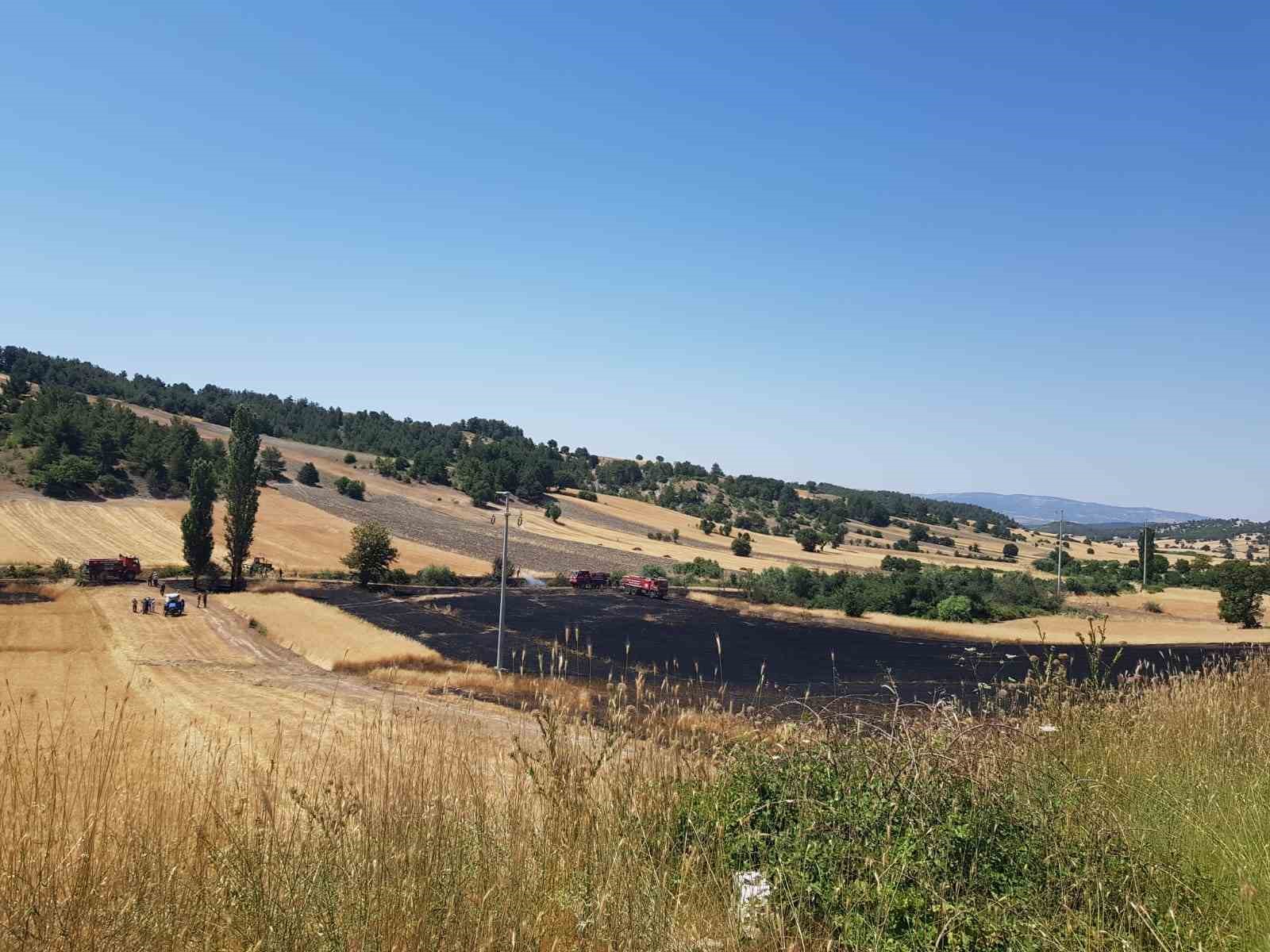 K&uuml;tahya&rsquo;da buğday tarlasında yangın
