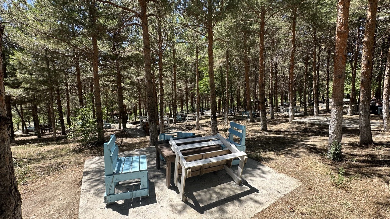 Atat&uuml;rk Kent Ormanı ilgisiz kaldı
