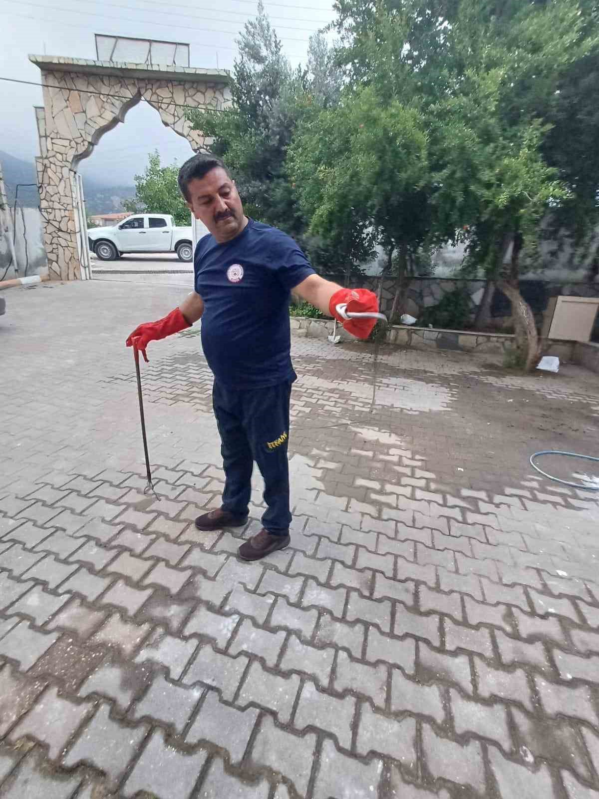 Hatay’da kız öğrenci yurduna giren yılan çıkarıldı