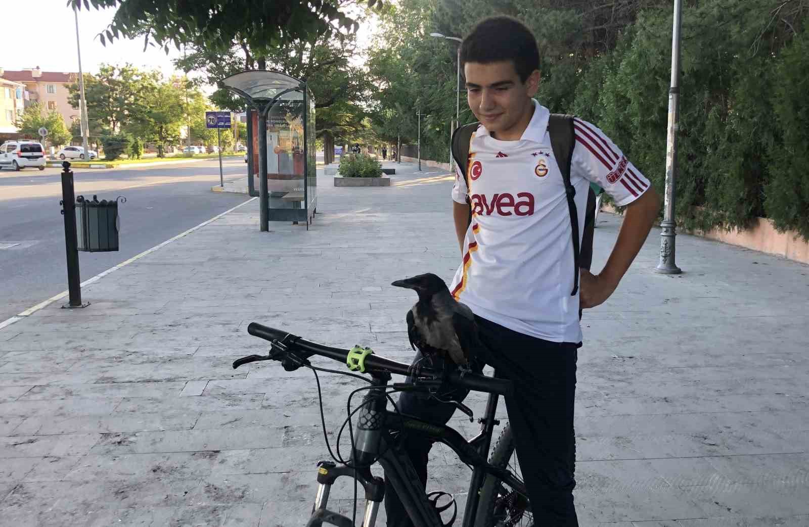 Erzincan&rsquo;da karga ile lise &ouml;ğrencisinin dostluğunu g&ouml;renler imreniyor
