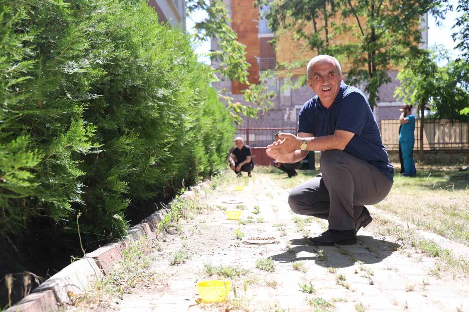 İlkokul öğrencileri sokak hayvanlarının yuvalarını onardı