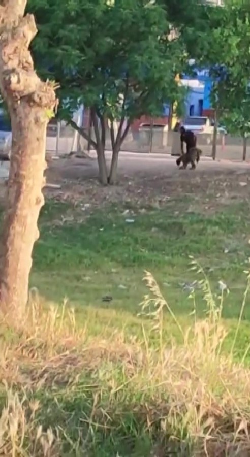 Koyunu havaya atıp tekmeleyen cani: "Onun y&uuml;z&uuml;nden s&uuml;r&uuml;y&uuml; kaybedecektim"

