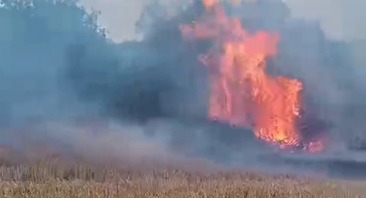 Anız yangını ormana sıçradı