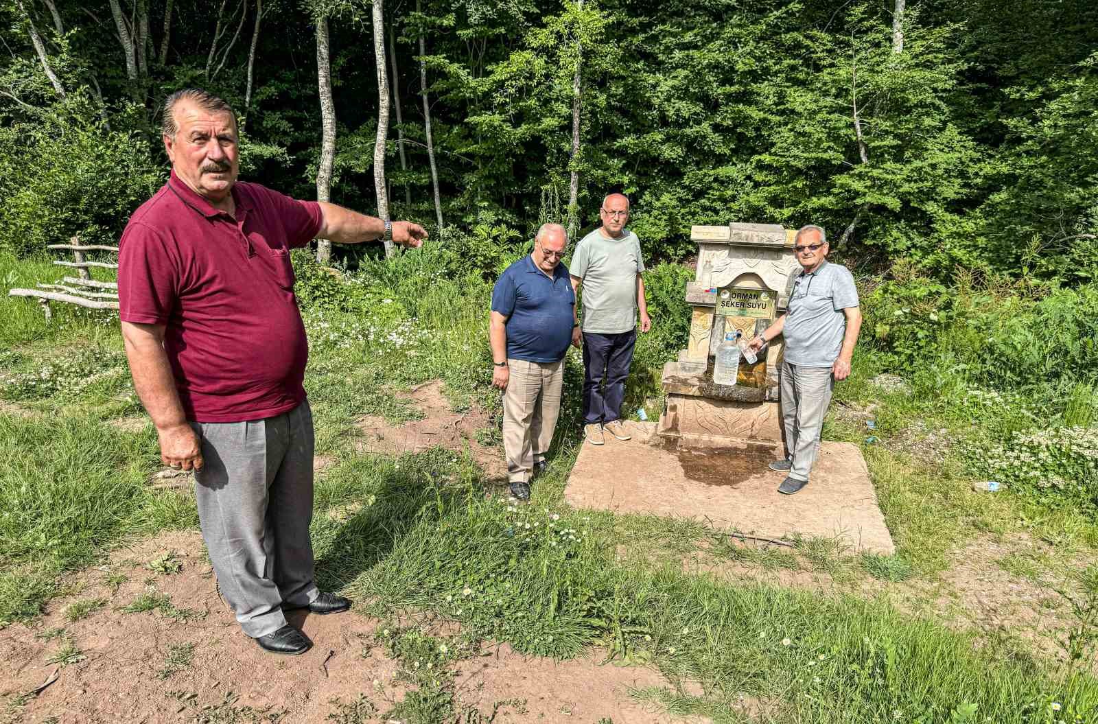 Şeker çeşmesinde şifa arıyorlar