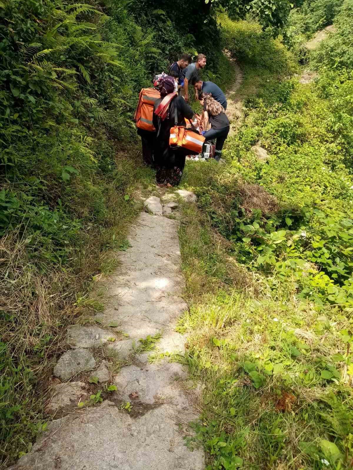 Kalp krizi geçiren yaşlı kadına sağlık ekiplerinde patika yolda müdahale
