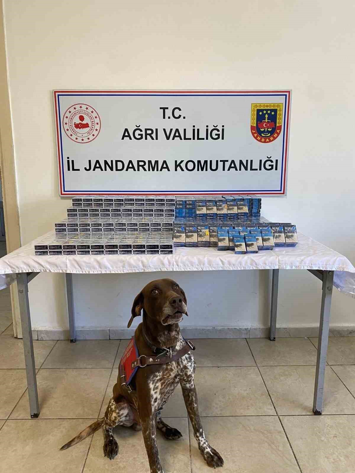 Ağrı’da 1294 paket kaçak sigara yakalandı