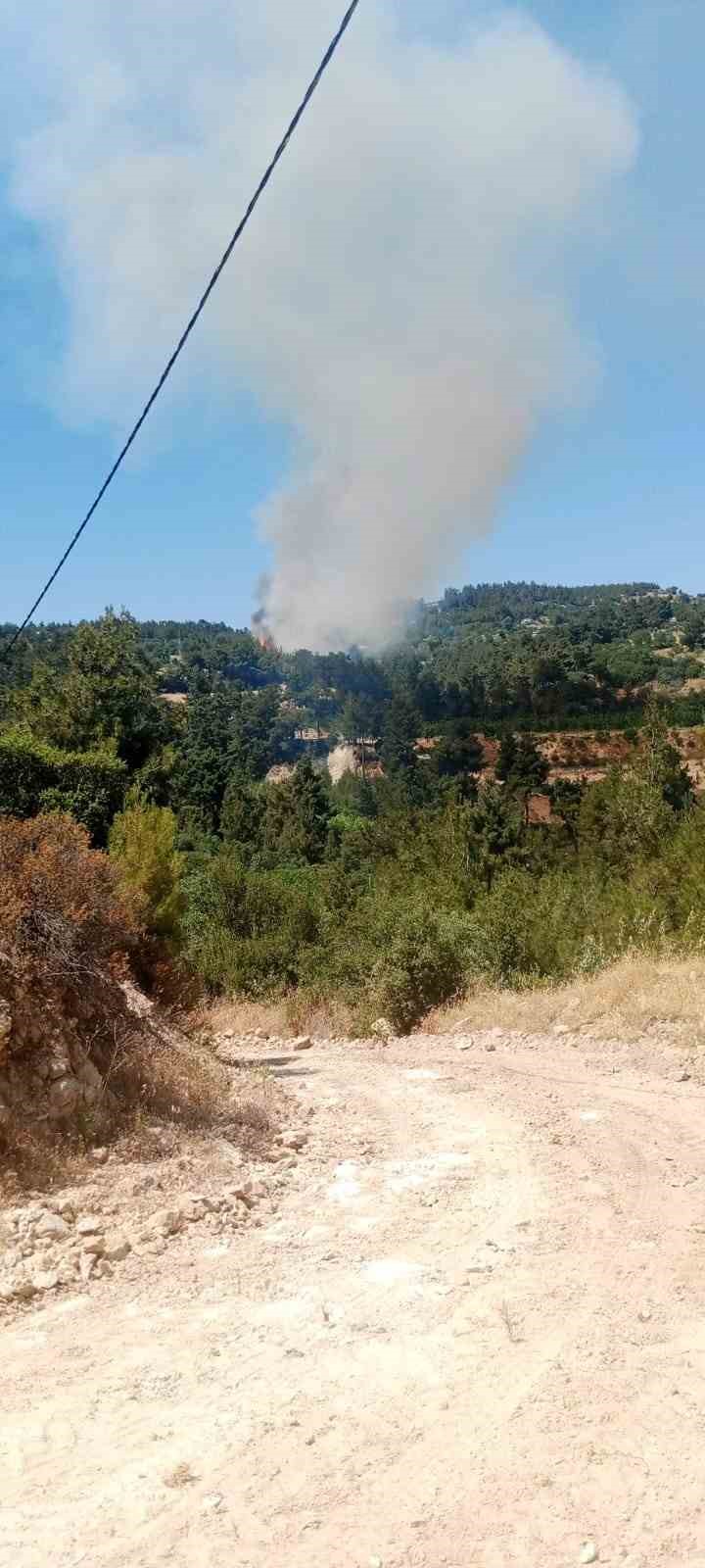Denizli&rsquo;de orman yangınına m&uuml;dahale ediliyor
