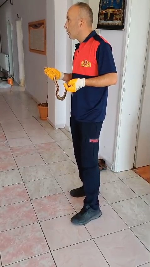 Kurs deposuna giren yılanı itfaiye g&ouml;revlisi yakaladı
