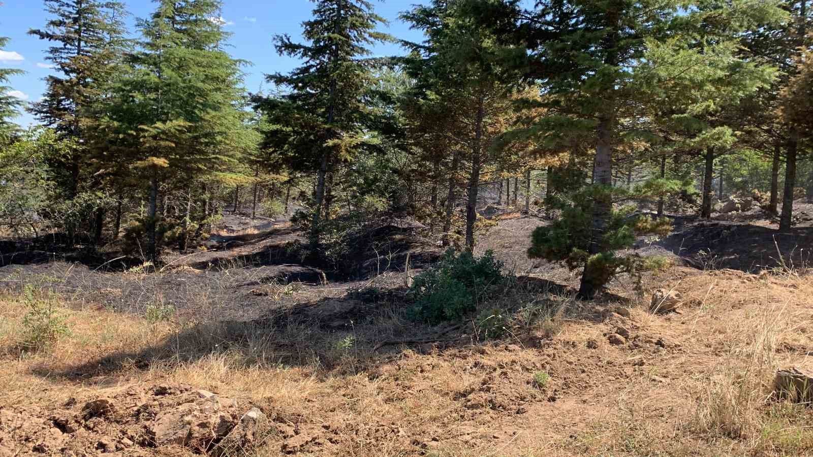 Kırklareli&rsquo;nde orman yangını: 10 dekar alan ile 5 dekar buğday tarlası zarar g&ouml;rd&uuml;
