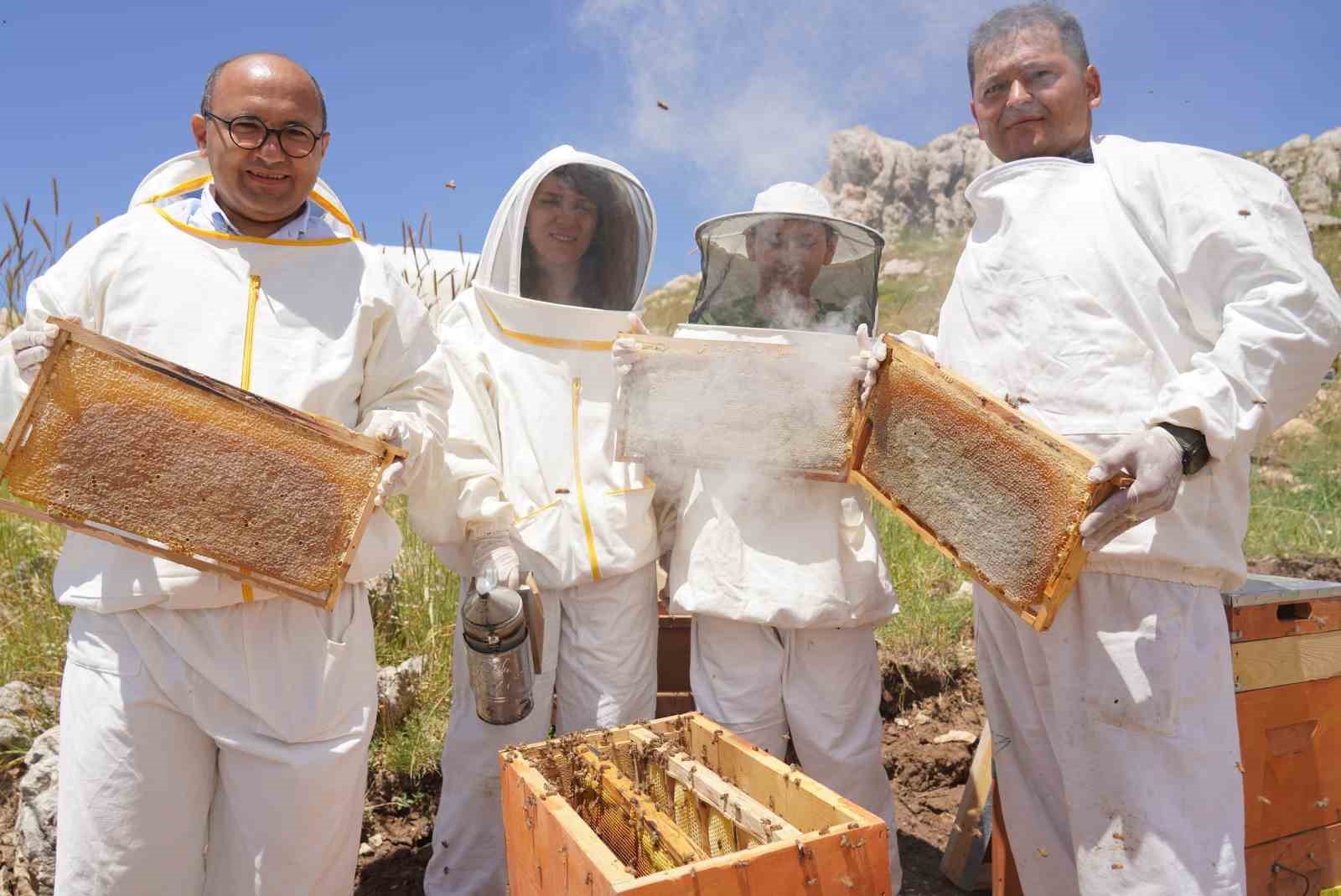 Erzincan’da kadınlar arı sütü üretecek