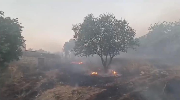 Mardin’de ormanlık alanda çıkan yangın söndürüldü
