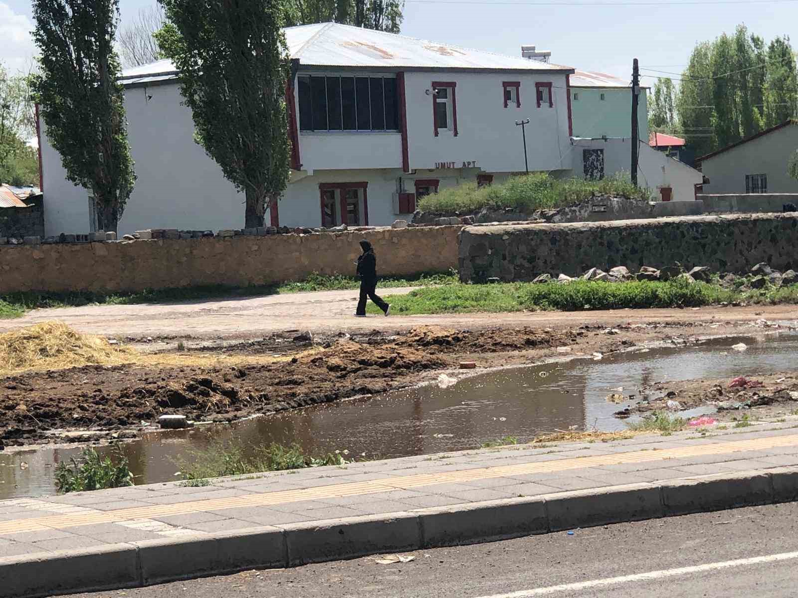 Kars&rsquo;ta yol kenarına d&ouml;k&uuml;len g&uuml;breler insan sağlığını olumsuz etkiliyor
