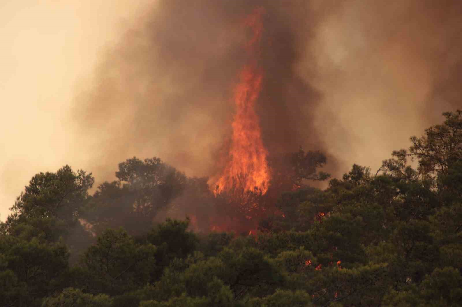 Datça’da orman yangınlarına karşı ek önlemler alındı
