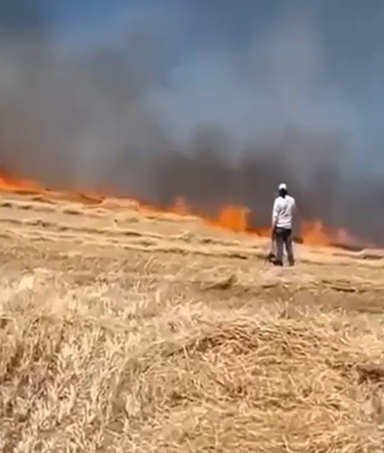 Balya makinesinden çıkan yangında 20 dönümlük tarla zarar gördü
