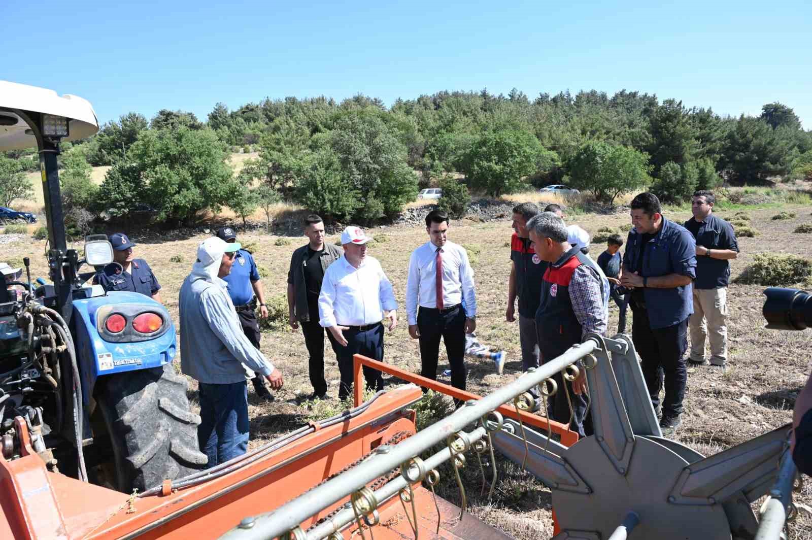 Denizli Kekiğinde hasat başladı
