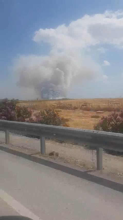 Balıkesir&rsquo;de makilik alandaki yangın ormana sı&ccedil;radı
