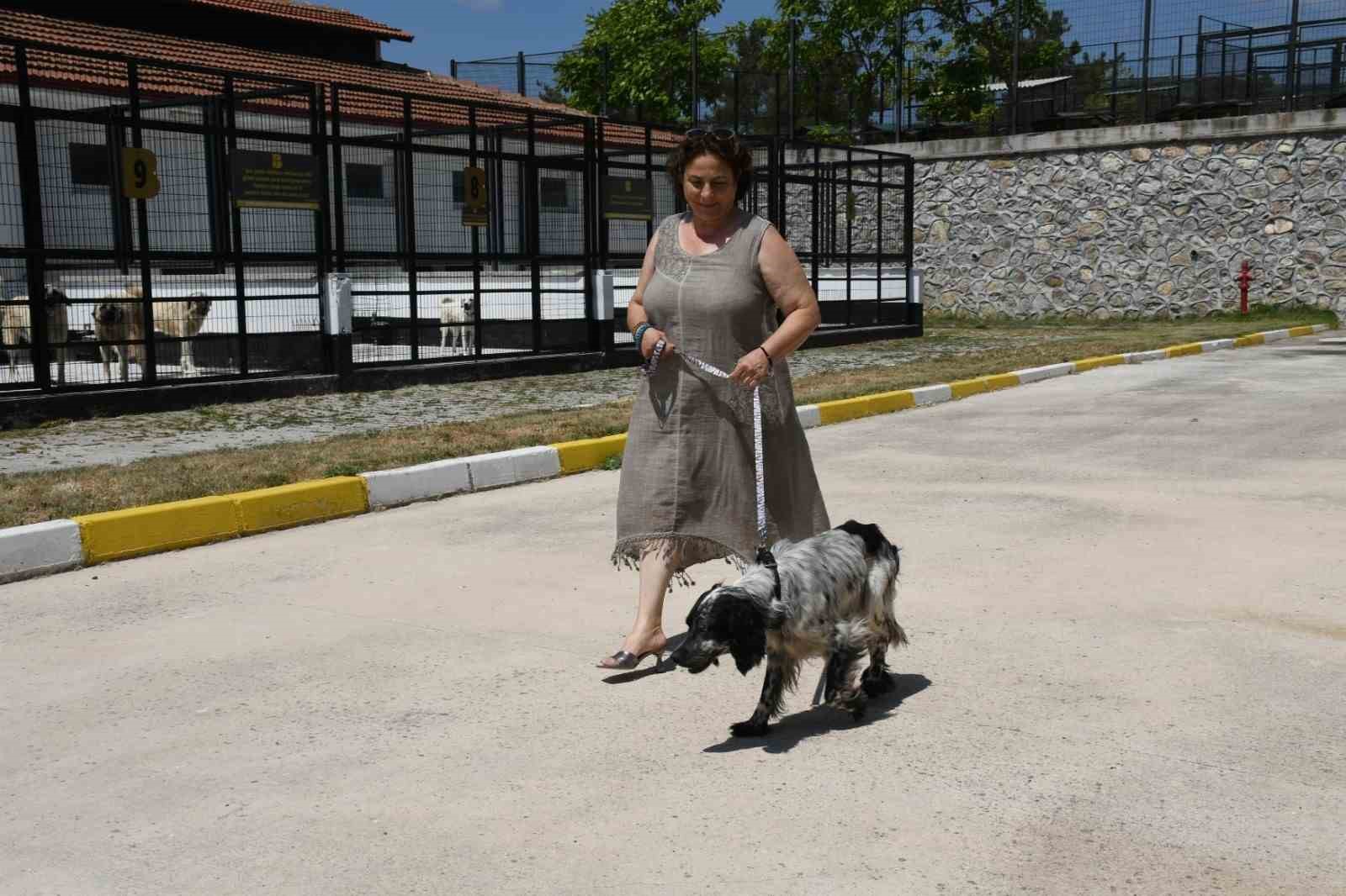 Cesur, B&uuml;y&uuml;kşehir&rsquo;in şefkatli ellerinde iyileşti
