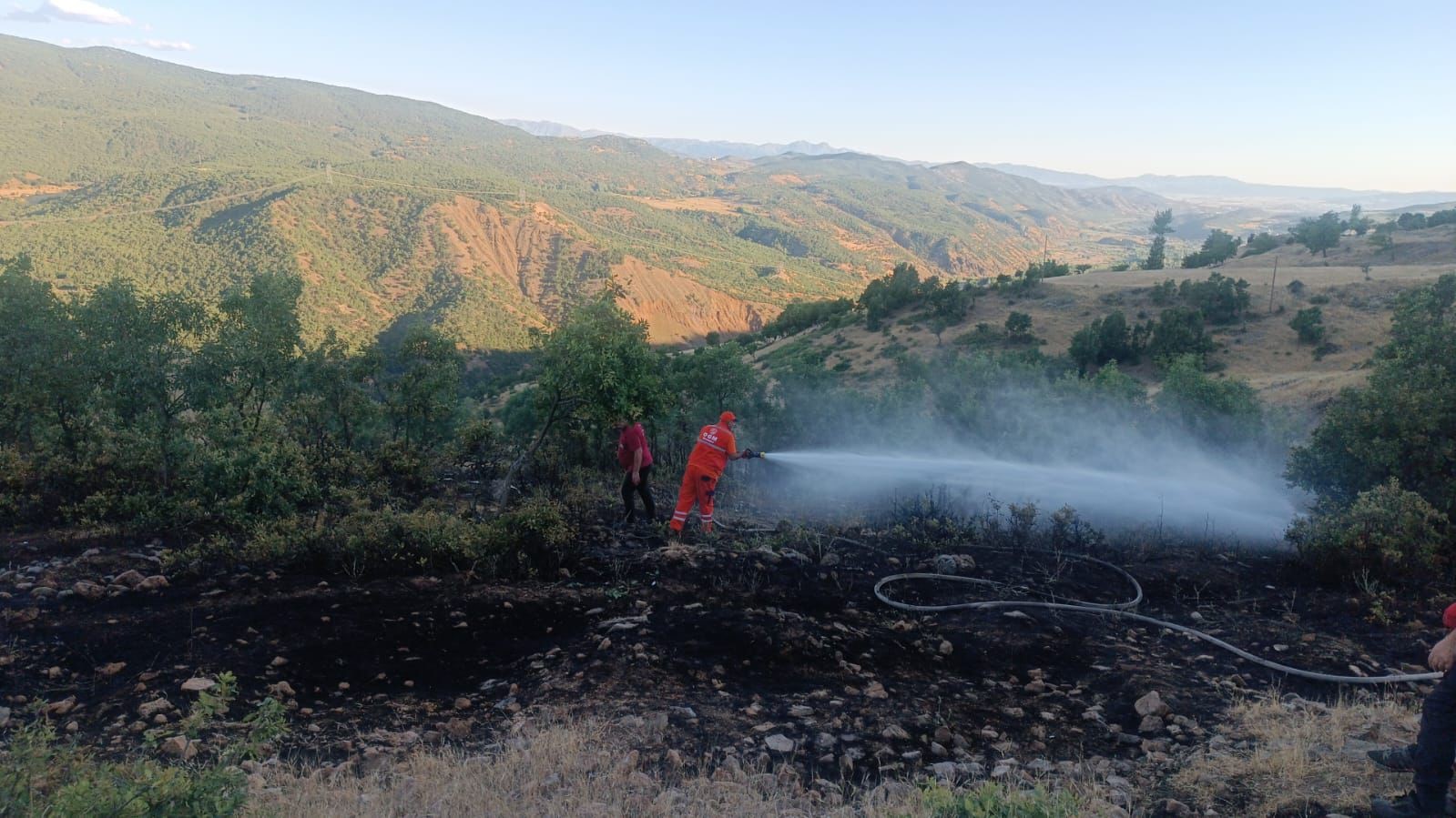 Bingöl’deki orman yangını büyümeden söndürüldü