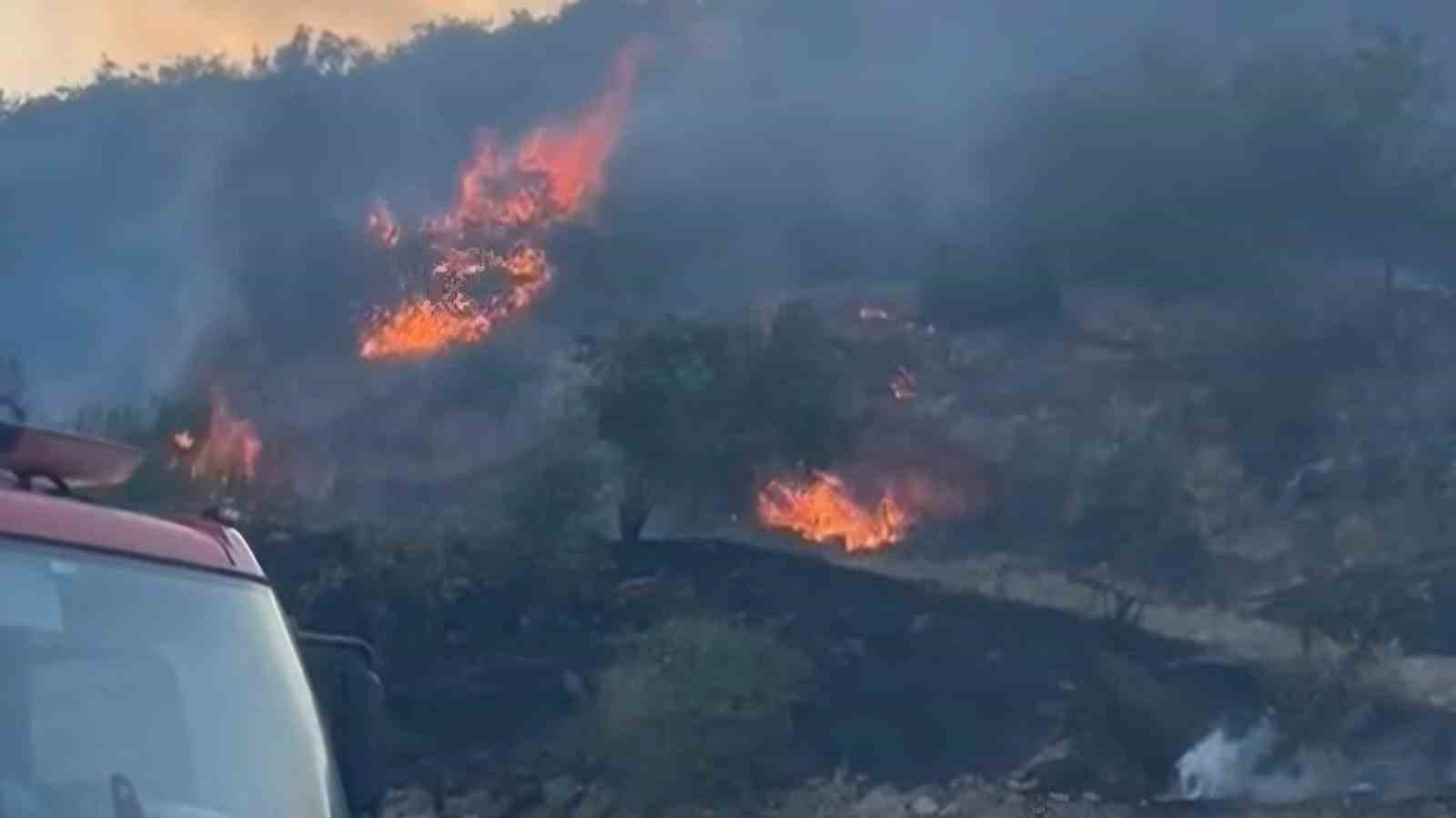 Gaziantep’te orman yangını
