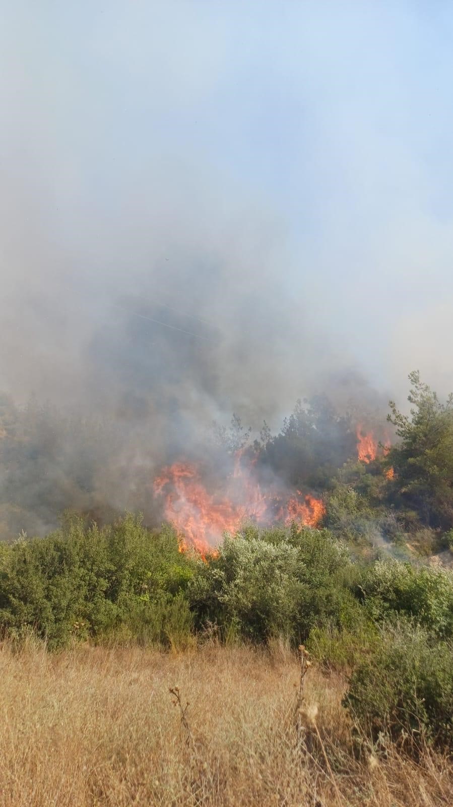 Adana’da çıkan orman yangını kontrol altına alındı
