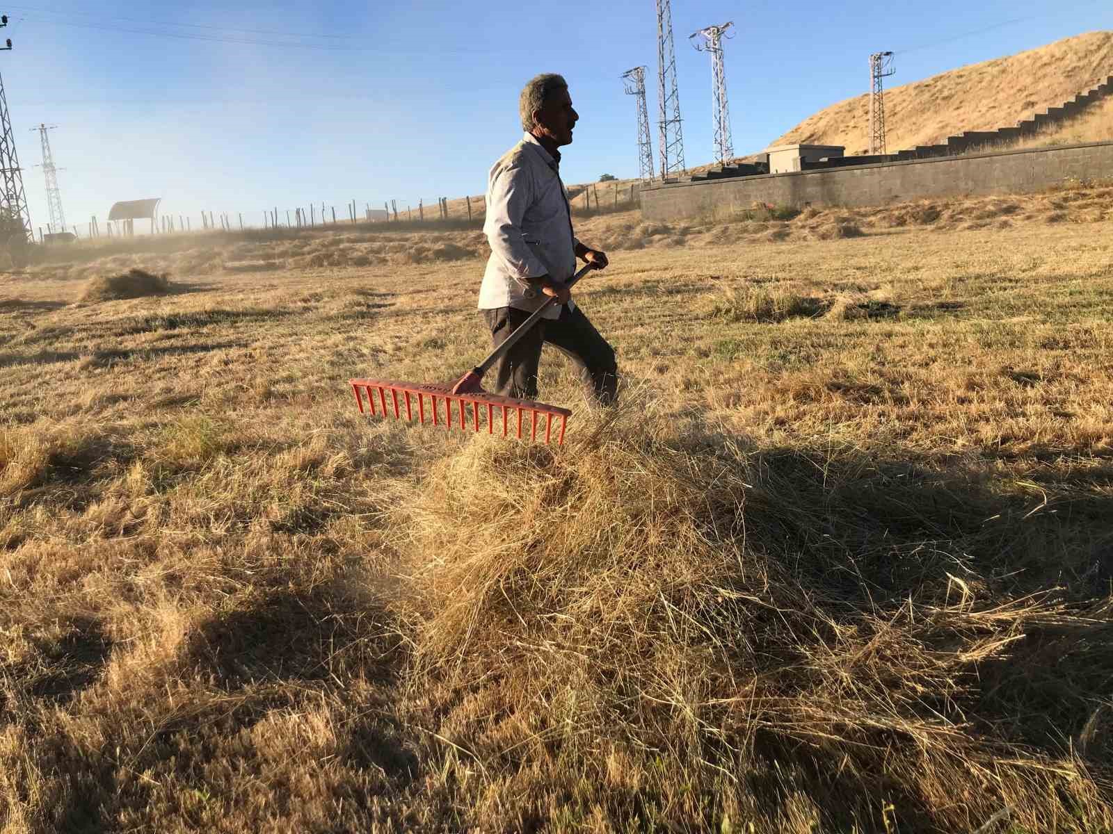 Besicilerin kışa hazırlık mesaisi
