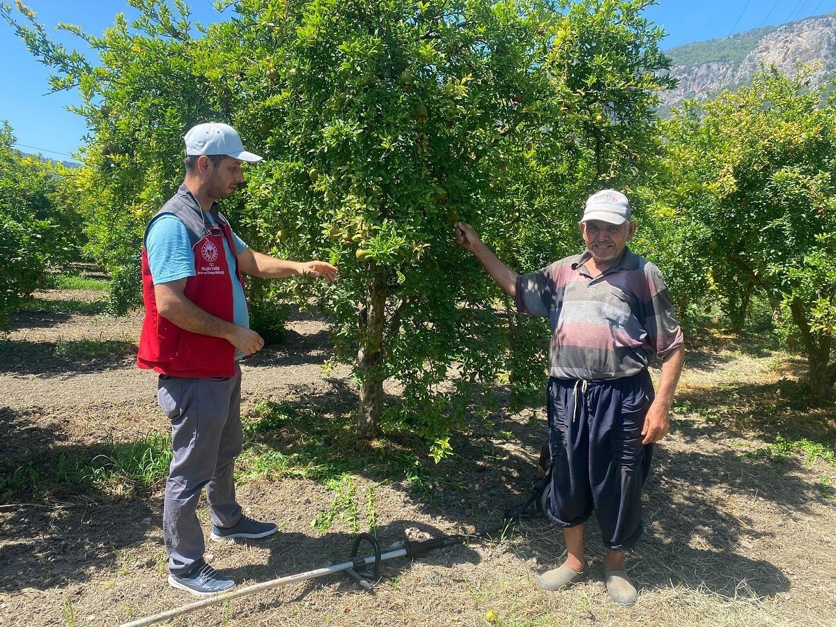 Muğla’da ’zararlı’ kontrolü
