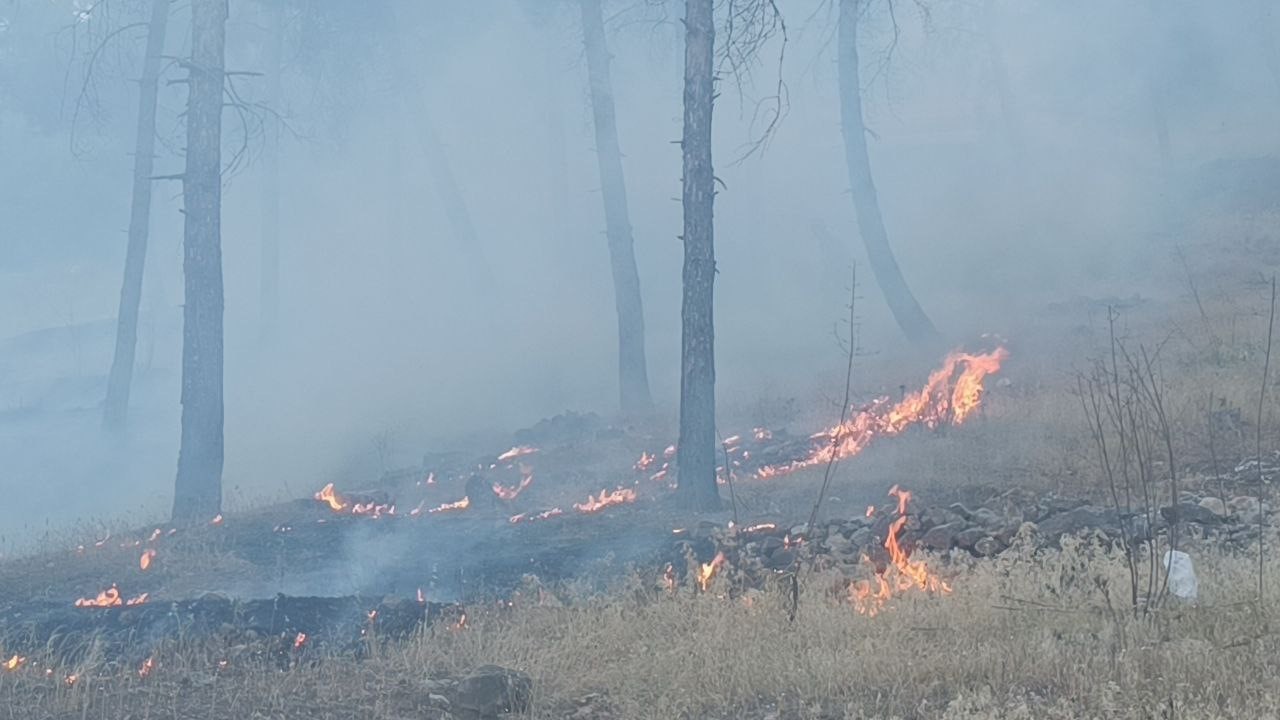 Gaziantep’te çıkan anız yangını ormana yayılmadan kontrol altına alındı
