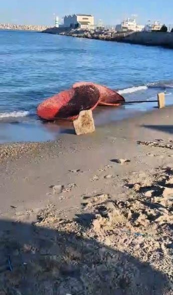 Kuşadası’nda halk plajlarındaki şemsiyeler tahrip edildi
