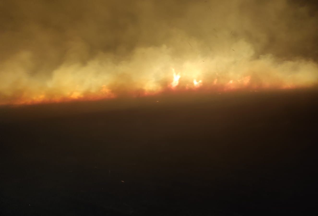 Diyarbakır’da orman ve örtü yangını

