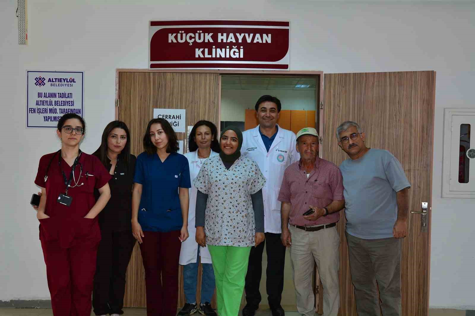 Balıkesir&rsquo;de bin hasta hayvana yardım eli
