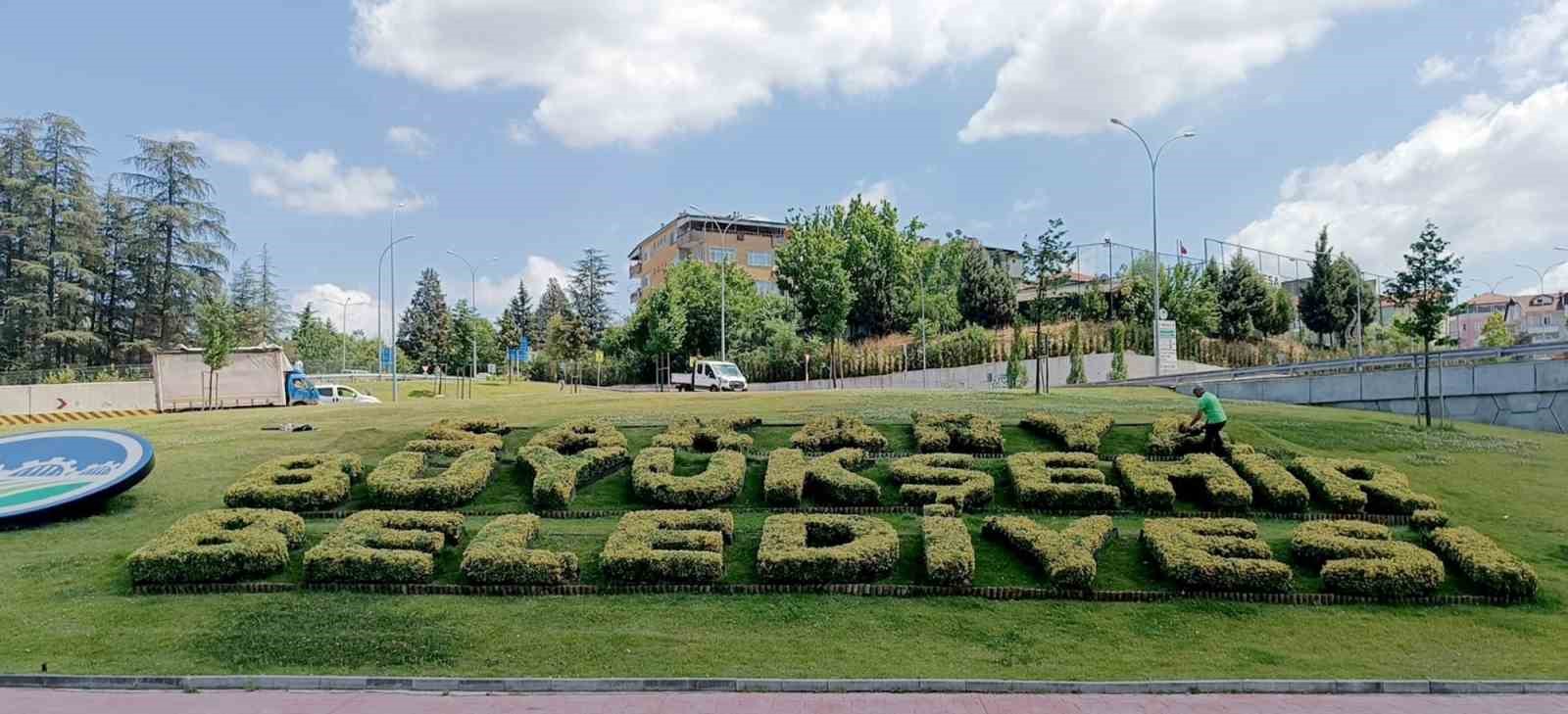 Sakarya Büyükşehir Belediyesi’nden şehre estetik dokunuş
