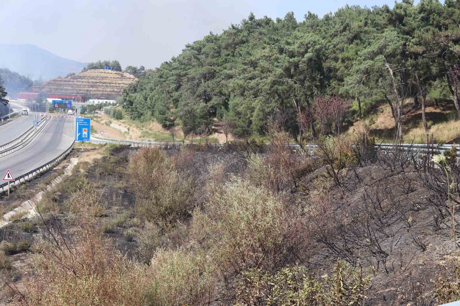 İzmir Valisi Elban: "Yangında 7 ev hasar gördü"
