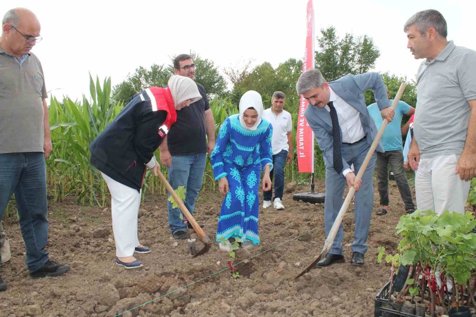 Düzceli kadın çiftçiler tarımsal yeniliklerle buluşuyor