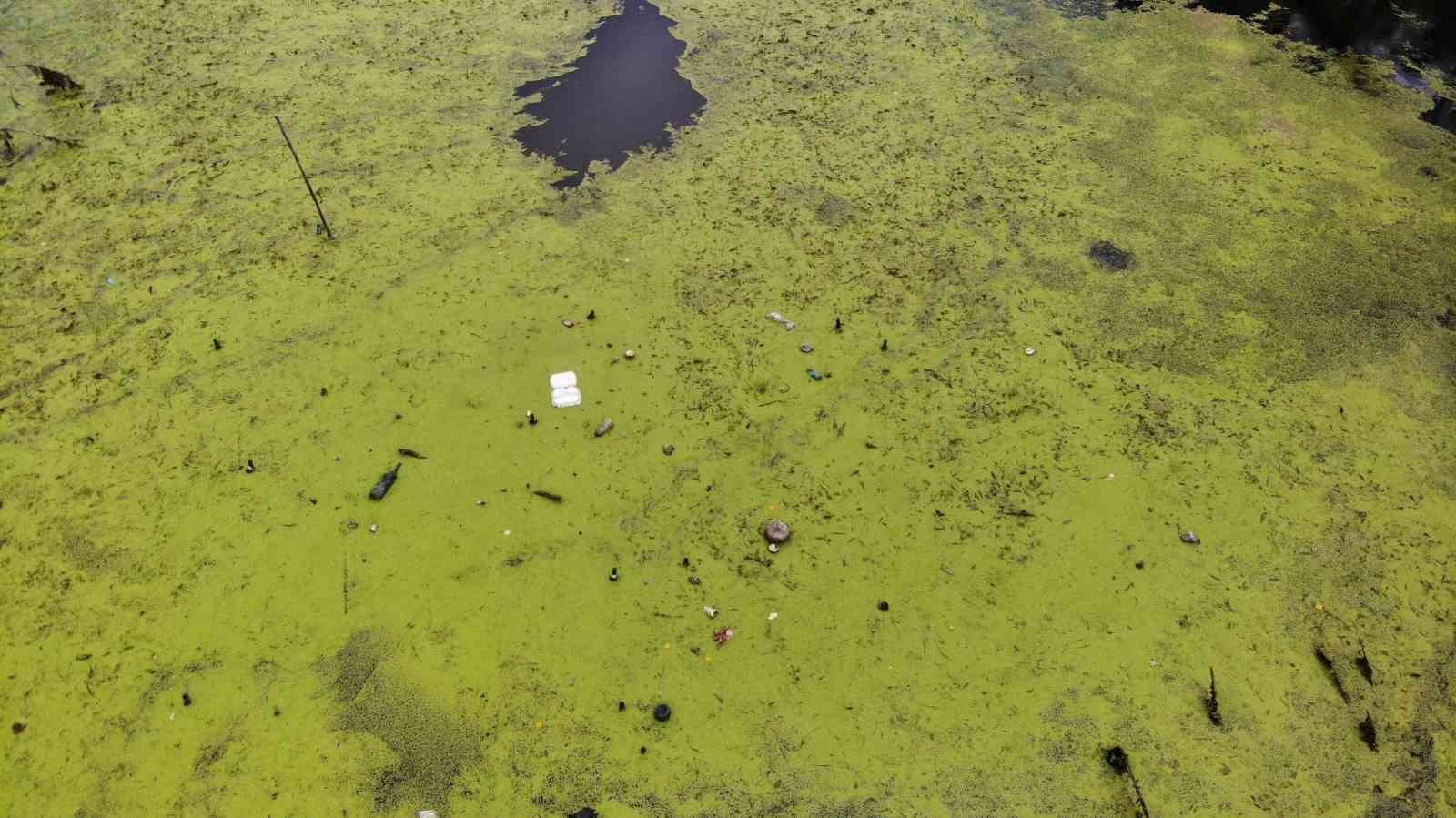 Su akışı durdu, Tunca Nehri yeşile döndü