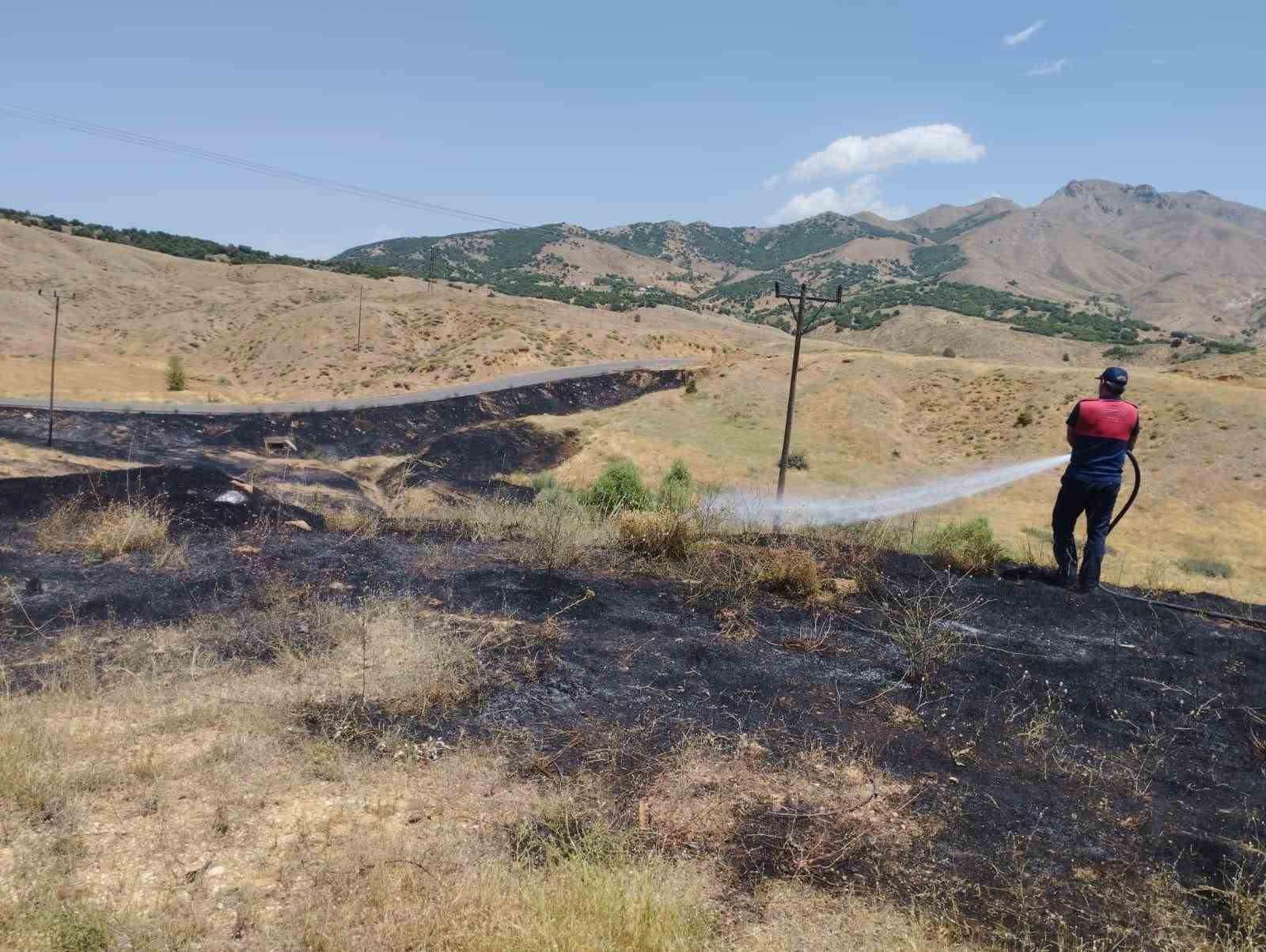 Bingöl’de çıkan orman yangını büyümeden söndürüldü
