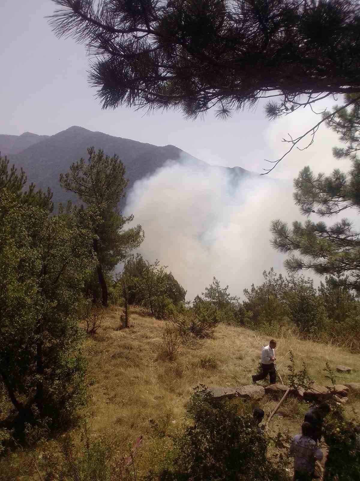 Karabük’te yıldırım orman yangınına neden oldu
