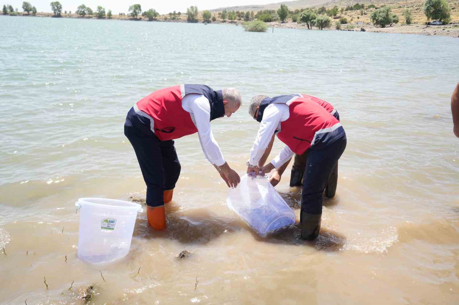 Niğde’deki göletlere 52 bin balık bırakıldı
